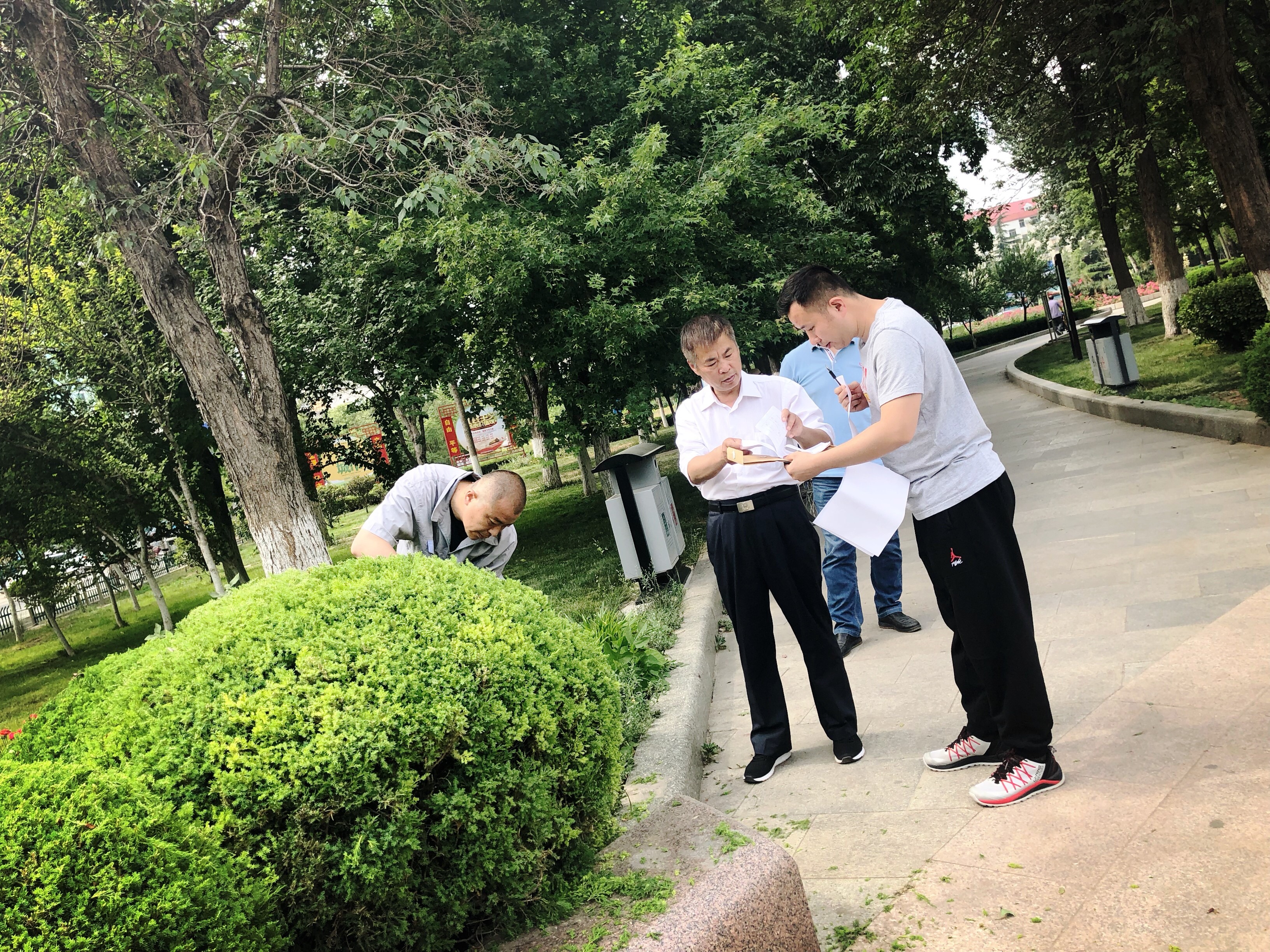 园林比武3.jpg