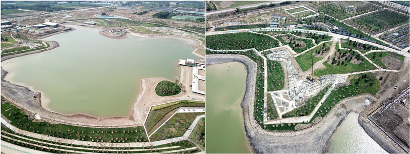 凤凰台植物公园3+4.jpg